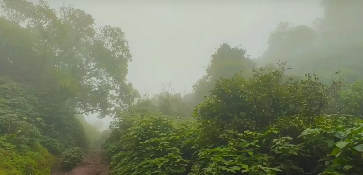 Mookambika Wildlife Sanctuary
