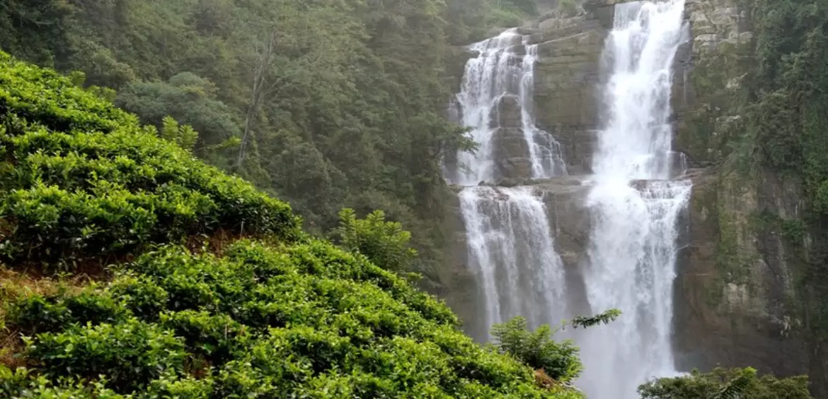 Wayanad