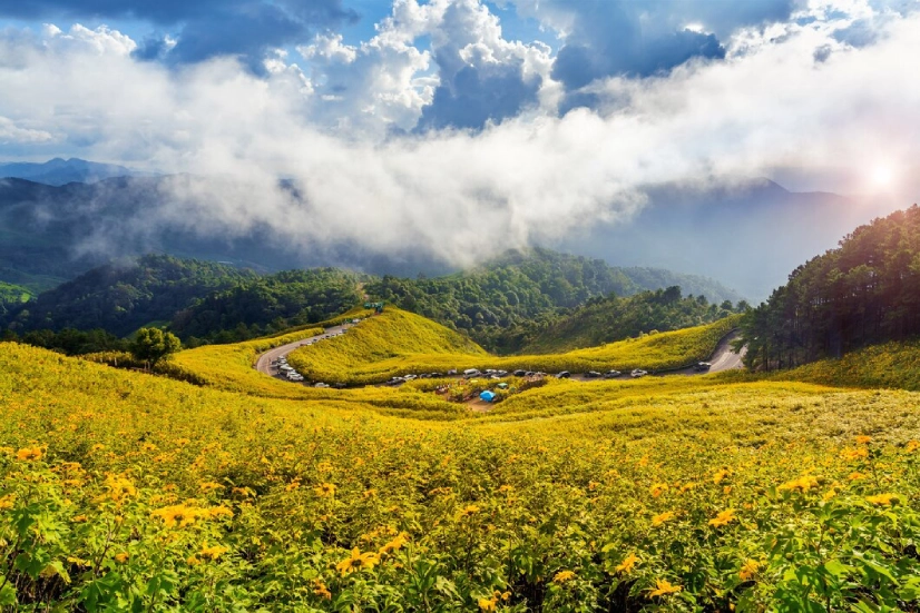 Ooty