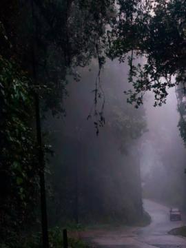 Agumbe – A Hidden Gem in Karnataka