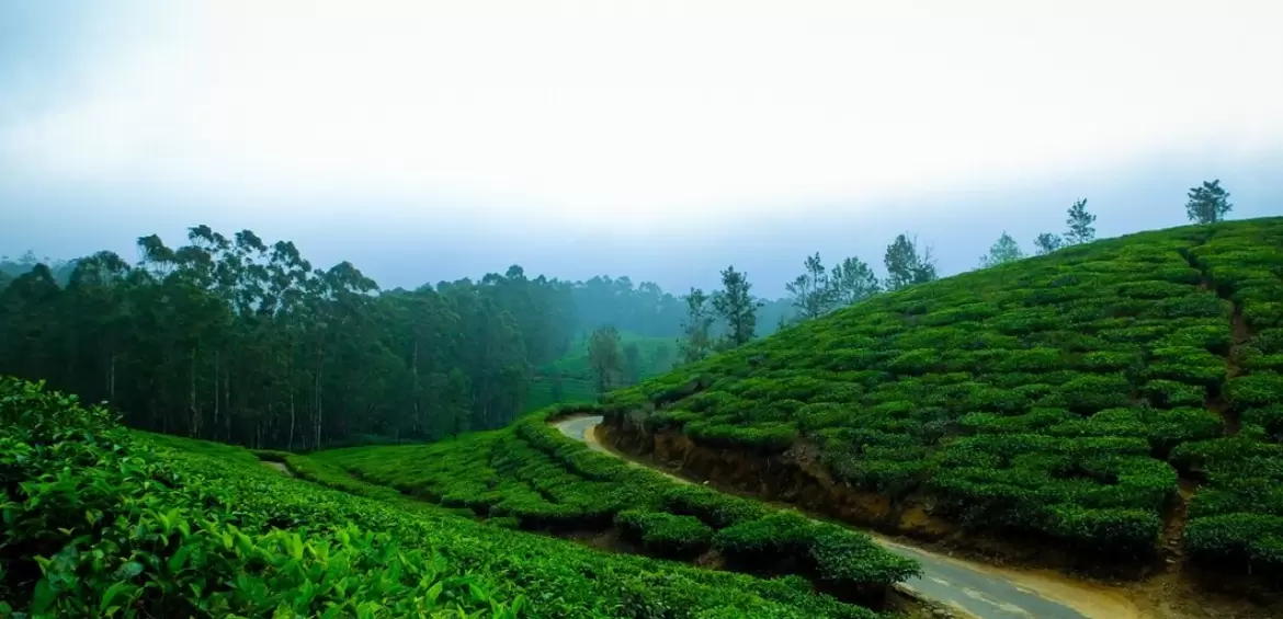 Ooty