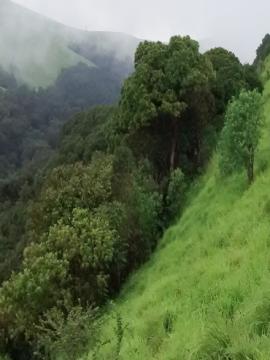 Mookambika Wildlife Sanctuary