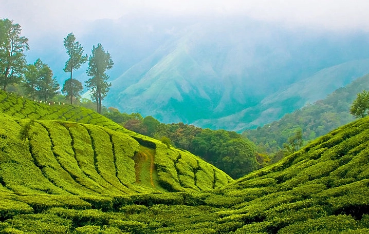 Thekkady
