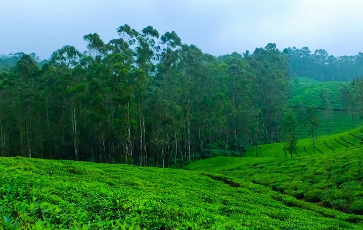 Munnar
