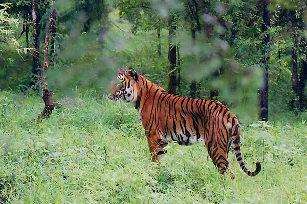 Shivamogga – Gateway to Malnad
