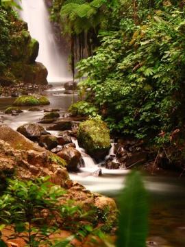 Wayanad