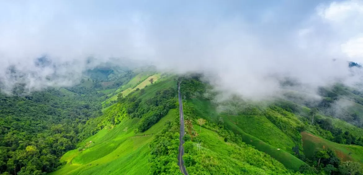 Ooty
